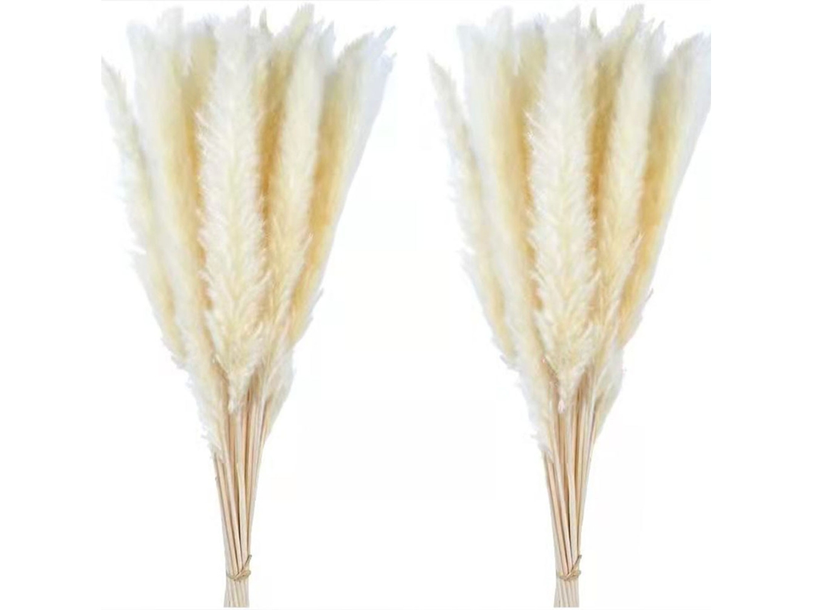 30 Buquês Pequenos Flores Secas Grama Pampas Natal Diy Branco