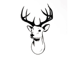 Decal De Parede Decorar Ambientes Fundo Para Quartos