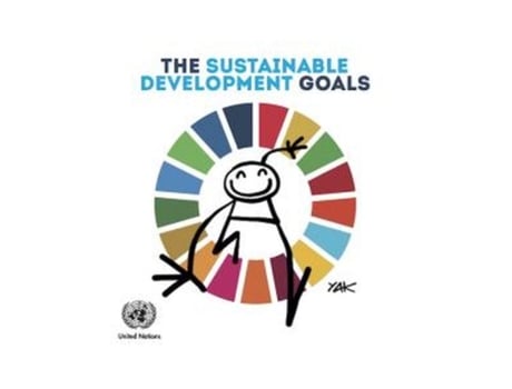 Livro the sustainable development goals de united nations (inglês)