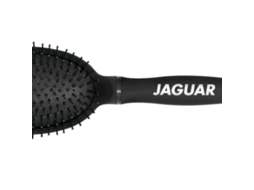 ESCOVA JAGUAR SÉRIE S4 pneumatica oval  88004-1