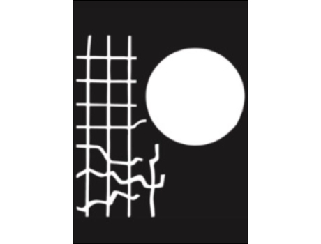 Livro Carla Filipe - Amanhã não Há Arte .