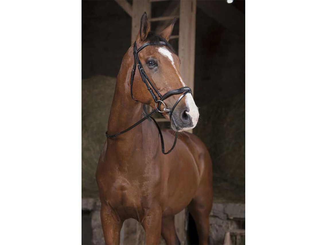 Rédeas Supergrip Castanho Fullnorton Equestrian