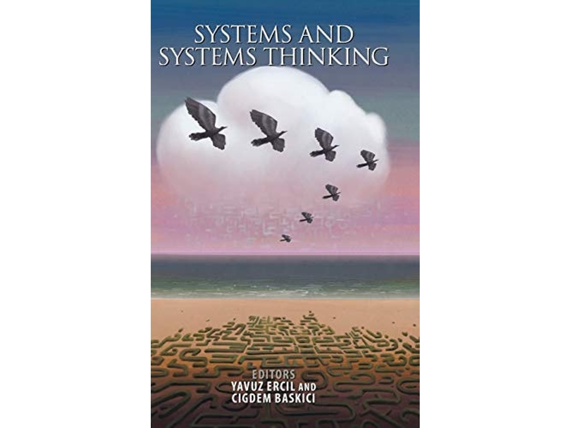 Livro Systems And Systems Thinking De Yavuz Ercil (inglês - Capa Dura)