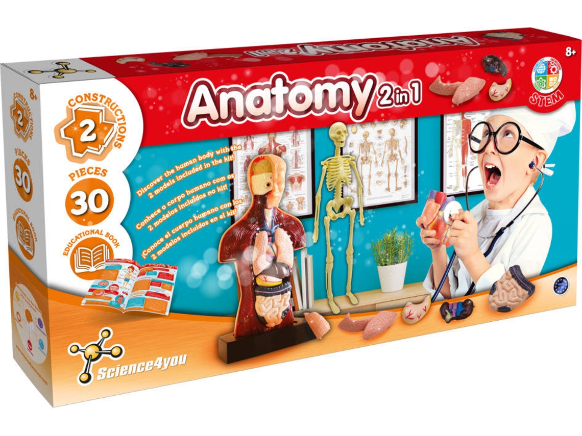 Jogos de anatomia online: aprenda enquanto se diverte!