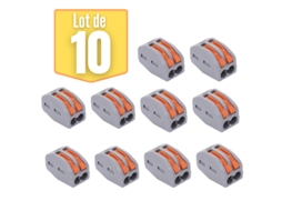 Conjunto de 10 Terminais de Conexão com Arame de 2 Aros com Alavanca