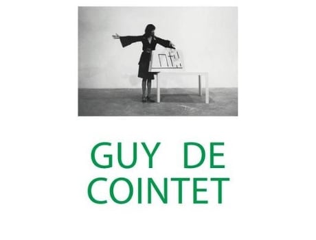 Livro guy de cointet de gerard wajcman (inglês)