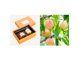 Kit Velas Aromáticas Cera Soja Sem Fumaça Fresca Ar