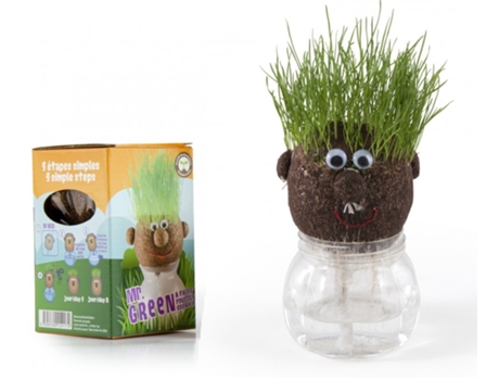 Jogo de Tabuleiro RADIS ET CAPUCINE Mr Green - Grass Kit (4 Anos)