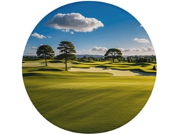 Almofada Redonda Para Assento De Campo Golfe E Cadeira Árvore, Antiderrapante, Removível, Para Cadeira, Banqueta, Sofá