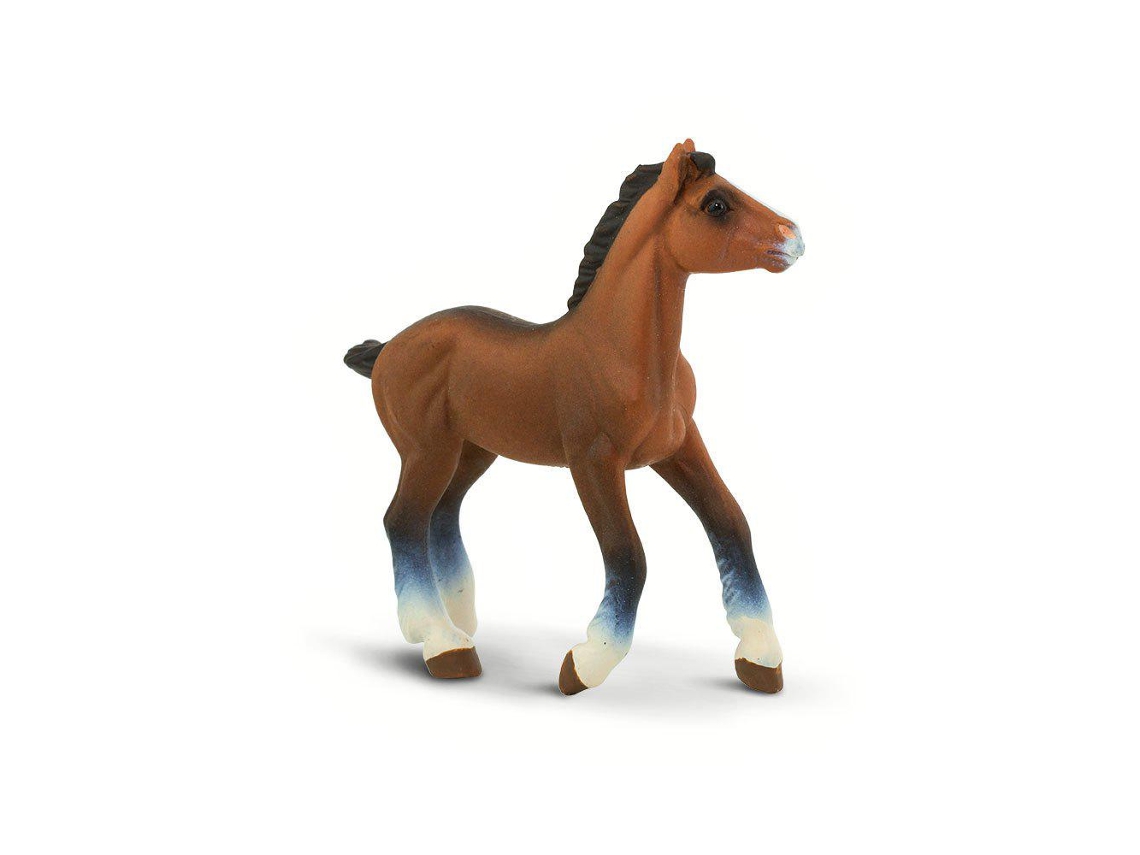SAFARI Clydesdale Foal