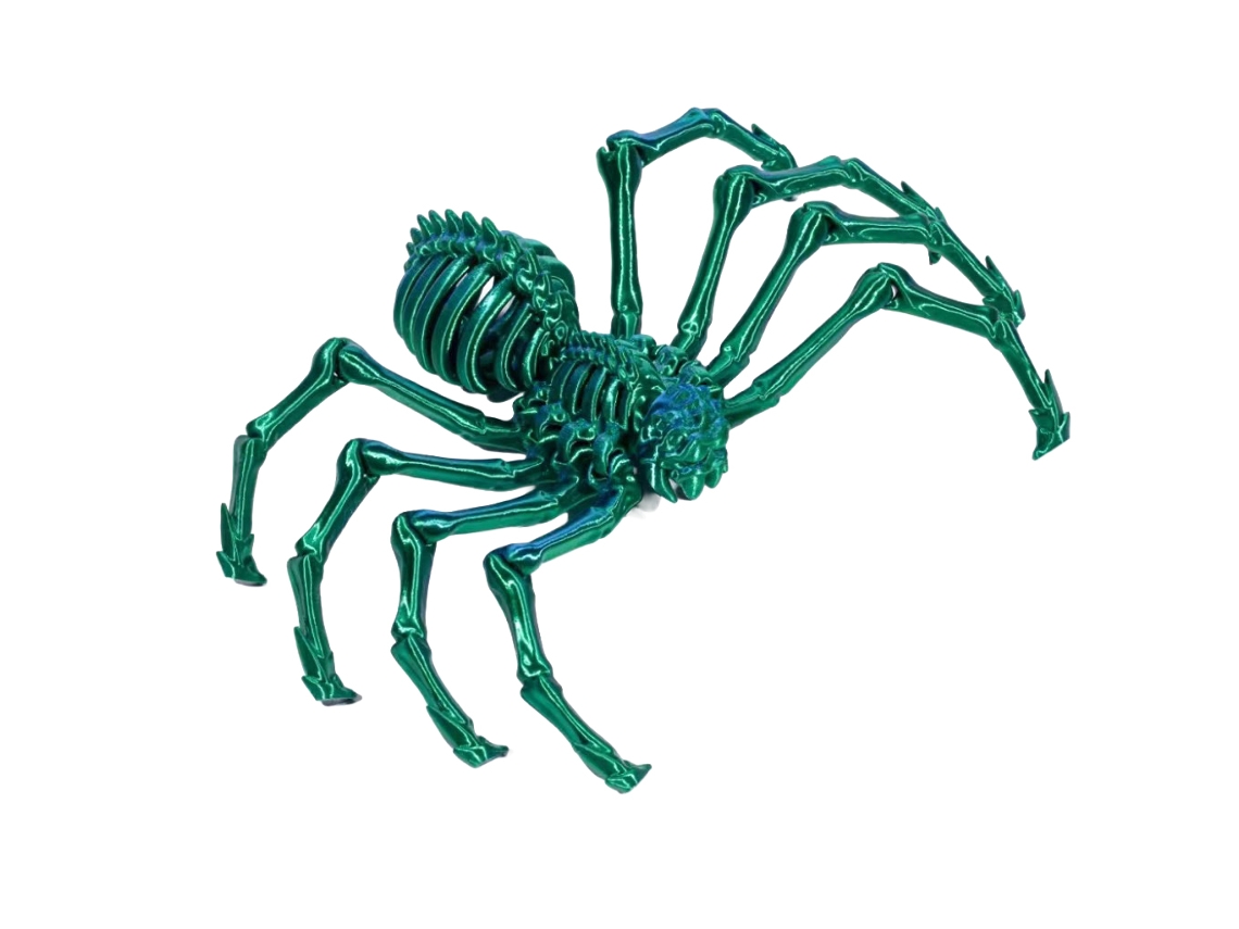 Laxiscereed Kit De Brinquedos De Halloween 3d Com Aranha Elástica Articulada E Decoração Temática