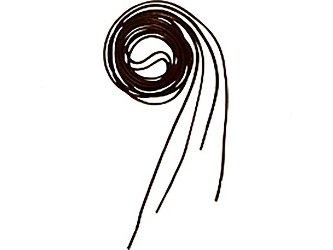Cadarços Elásticos 120 5 Unidades Castanhoequitheme