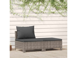 Conjunto 2 Peças Lounge De Jardim C/ Almofadões Vime Pe Cinzento Dkd Home Decor