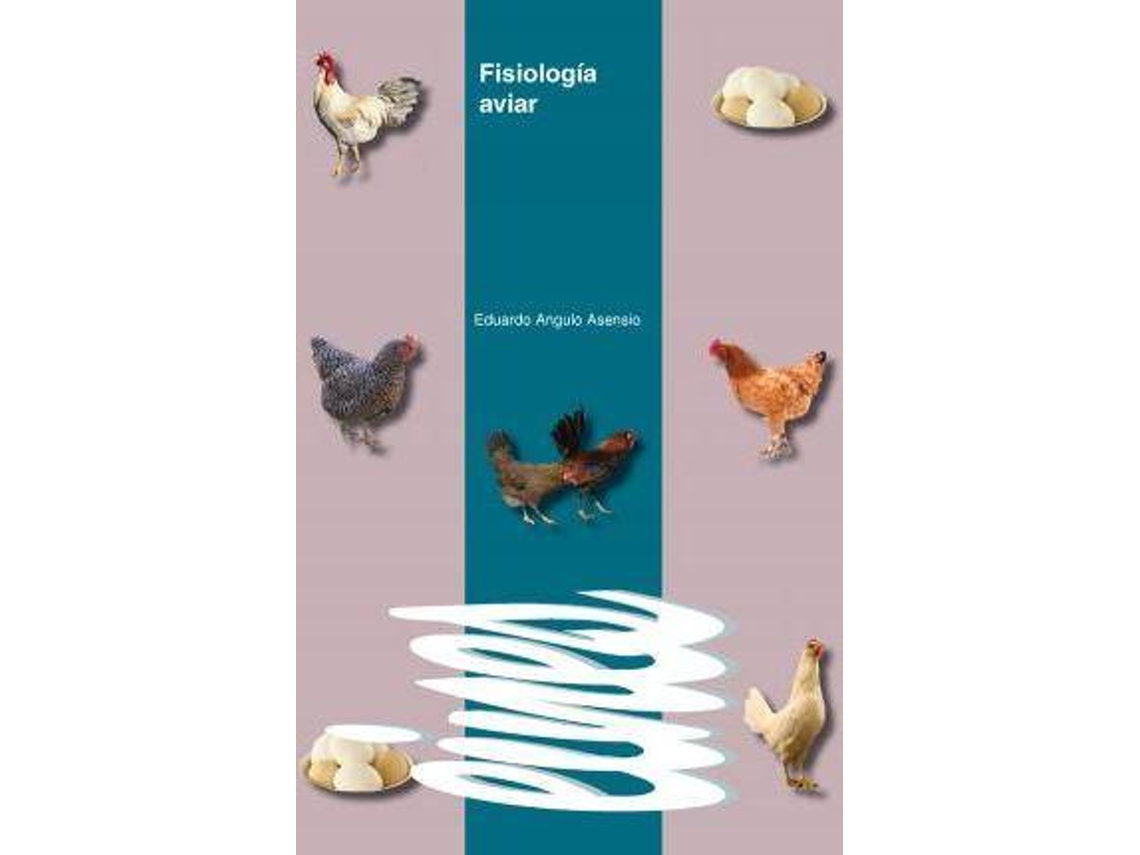 Livro Evaluación De La Rentabilidad De Proyectos De Inversión. de Antonio Gorgues (Espanhol)