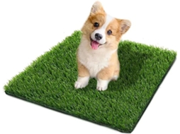 Casinha para Cães 60 cm, com Grama Artificial AQUAFORGE