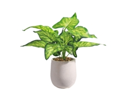 Plantas Artificiais Em Vasos, Plantas Verdes Plásticas Cerâmicas Tropicais Para Decoração De Sala, Escritório