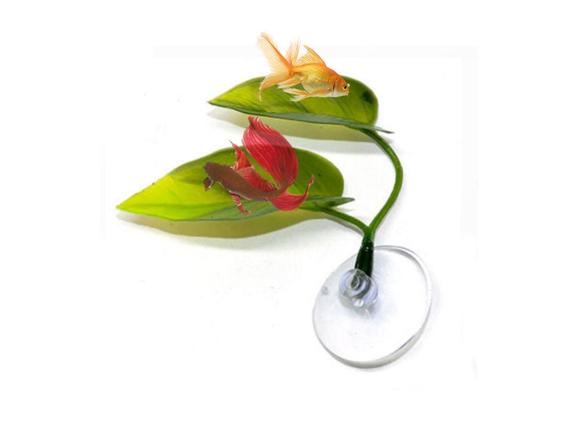 Folha Artificial Para Decoração De Aquário Com Ventosa