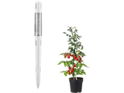 Analisador De Umidade Para Plantas Detector Jardim Sem Bateria, Indicador Agrícola Portátil, Instrumento