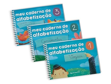 Livro Programa De Alfabetização Meu Caderno De Alfabetização de Em Casa Hoje (Português)