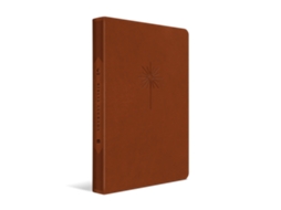 Livro Bíblia Nvt - Filament - Marrom, Luxo Couro Sintético Slim Letra Grande De Mundo Cristão (português)