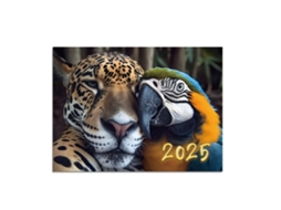 Calendário 2025 Calendário de Ano Novo Cor: Estilo6 BRILVIBERA