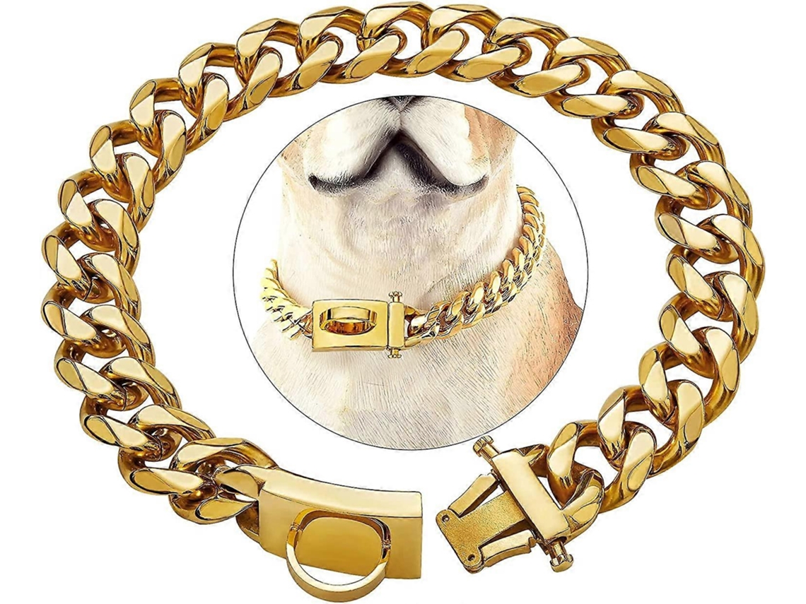 Colar De Cachorro De Aço Inoxidável Dourado, Com Fecho De Segurança, 20 Polegadas