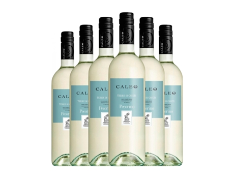 Vinho branco BOTTER CARLO Caleo Pecorino Terre di Chieti (0.75 L - 6 Unidades)