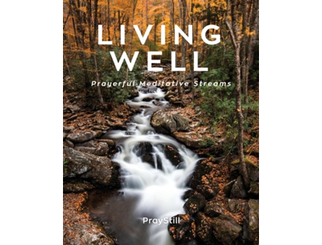 Livro Living Well Prayerful Meditative Streams De Will Eighmy (inglês)