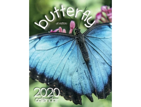 Livro Butterfly 2020 Calendar de Wall Publishing UK (Inglês)