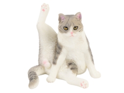 Primerox figurino de Gato Realístico Educativo Simulado Cute Modelo de Brinquedo para Crianças Cinza