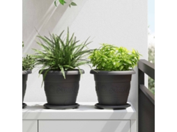 Vidaxl Vasos De Plantas 6 Unid. Preto Ø 22 X 18 Cm Plástico