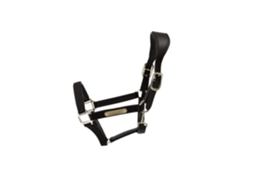 Cabresto anatómico para cavalos nylon Kentucky
