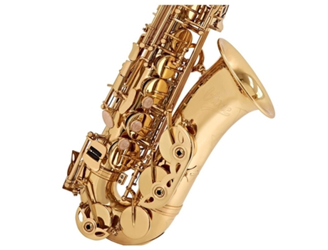Como 100 Saxofone Alto Com Estojo Conjunto V Tone