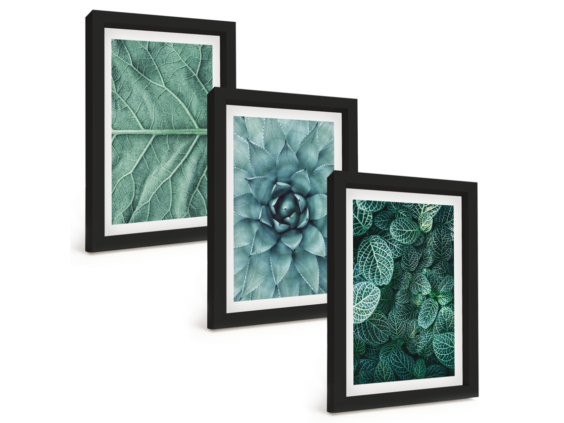 Composição De Quadros Close-ups De Plantas E Folhas Moldura Preta Imagens Para Um Quarto Infantil Espelharte (3 Peças 20x30 Cm)