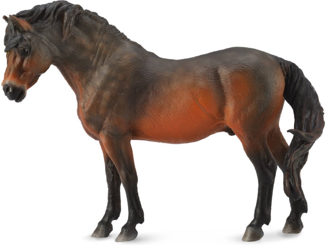 Figura COLLECTA Dartmoor Pony Bay