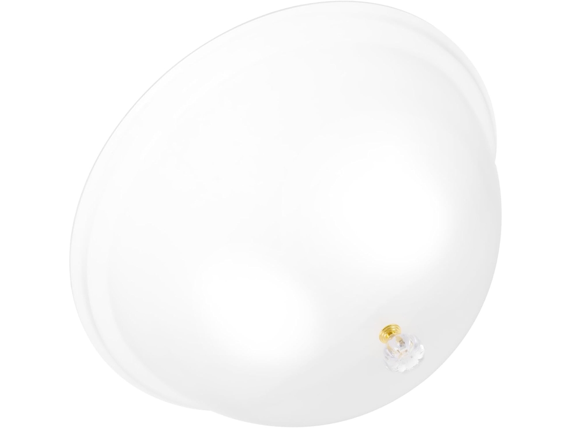 Tampa Redonda De Acrílico Para Alimentos, 31 Cm , Com Alça, Isolamento Térmico, Transparente E Resistente A Choques Gokoco (12 Polegadas)