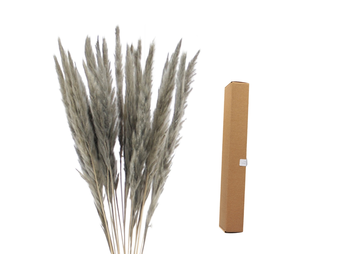 Junco Cortado 45cm Embalagem 45*5*7
