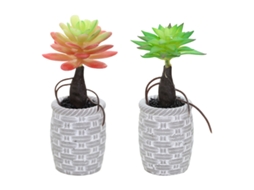 2 Peças de Mini Plantas Suculentas Simuladas em Vaso Ornamentos Criativos Pequenos Plantas Artificiais NEVEANCE