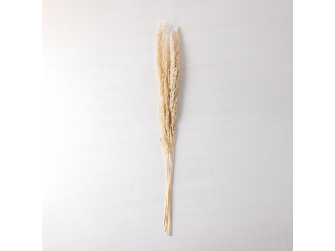 Sklum Pack De 6 Ramos Secos Decorativos Megina Fibra Vegetal Beige Creme