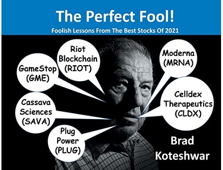 Livro The Perfect Fool Foolish Lessons From The Best Stocks Of 2021 de Brad Koteshwar (Inglês)