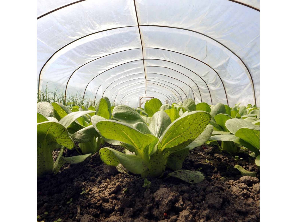 Cobertura para Estufa TECPLAST 3x3 m - 150SE - Lona Transparente Impermeável para Jardim - Alta Qualidade