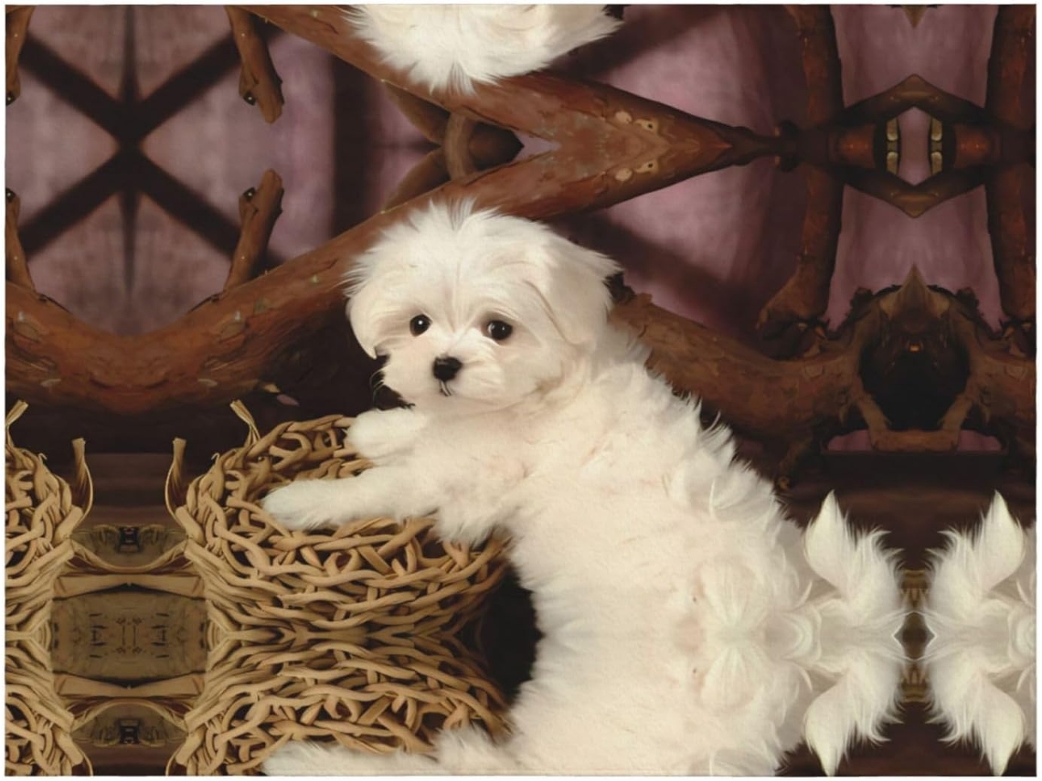 Colcha de Flanela com Estampa Poodle Francês Macia e Quentinha 203 2 X 152 4 Cm, Macio, Quente, Ideal para Q