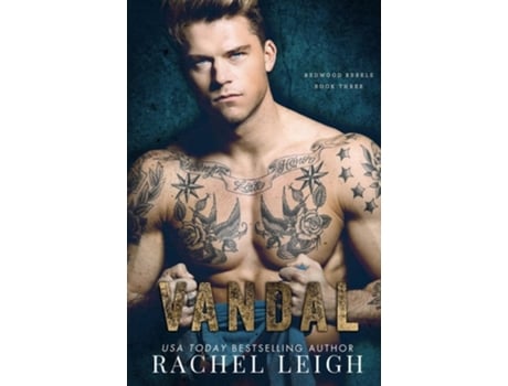 Livro Vandal A Dark Bully Romance de Rachel Leigh (Inglês)