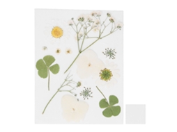 Flores Secas Prensadas Para Diy: Marcapáginas Manual, Fundas De Teléfono, Espeímenes De Plantas, Resina Y Epoxi