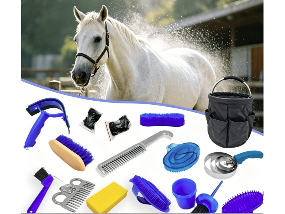 Kit De Higiene E Cuidados Para Cavalos (15 Peças), Ferramentas Para Limpeza De Cascos, Conjunto Completo De Ferramentas Para Higiene Equina.