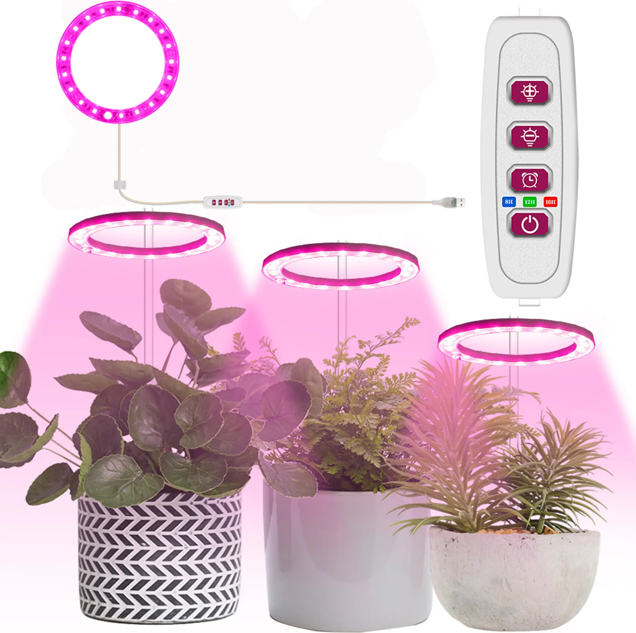Disco Led Rosa violeta Cabeça Única STELASPLEN