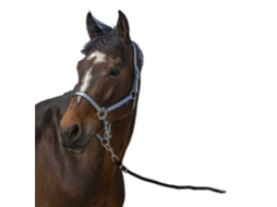 Cabeçada Nylon Soft Azul Fullnorton Equestrian