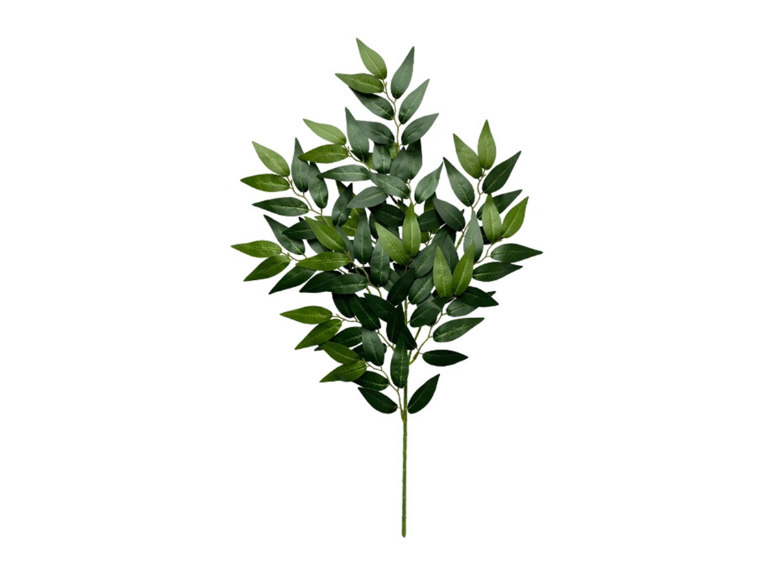 Ramos de Eucalipto Tridentata para Decoração Natural LAXISCREED