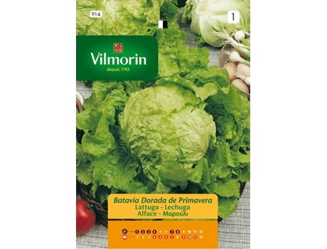 VILMORIN Semillas de Lechuga Batavia Dorada S-1 914 Sobre 7 Gr