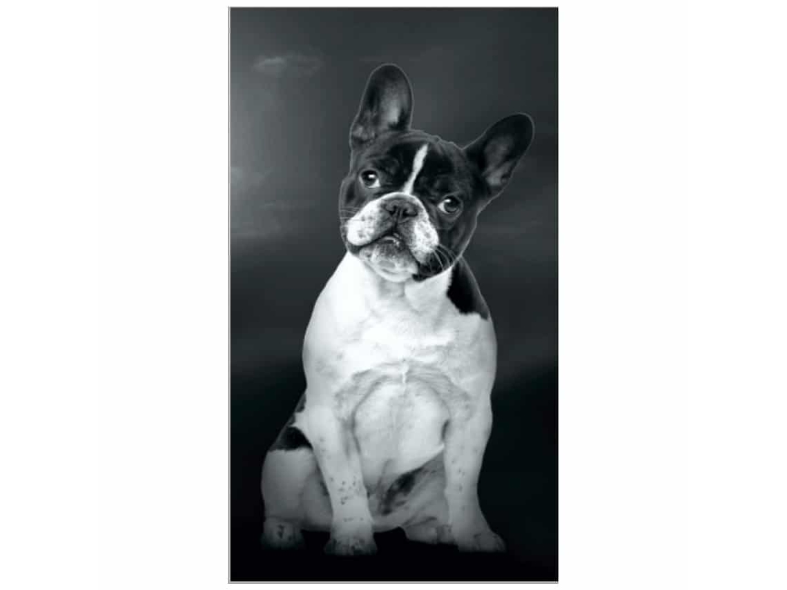 Toalha De Praia Microfibra Bulldog Francês